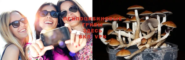 гашик Алексеевка