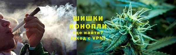 гашик Алексеевка