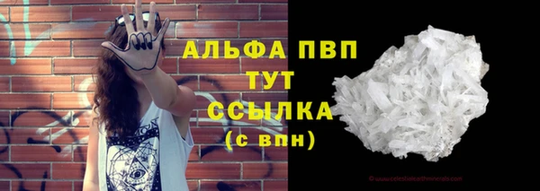 шишки Алзамай