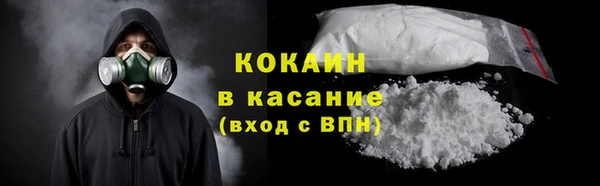 шишки Алзамай