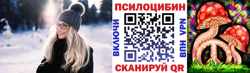 где найти наркотики  Камышин  Галлюциногенные грибы мицелий 
